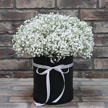 Цветочная композиция из Гипсофила в шляпной коробке #REPLACE_PRED# Среднеуральске